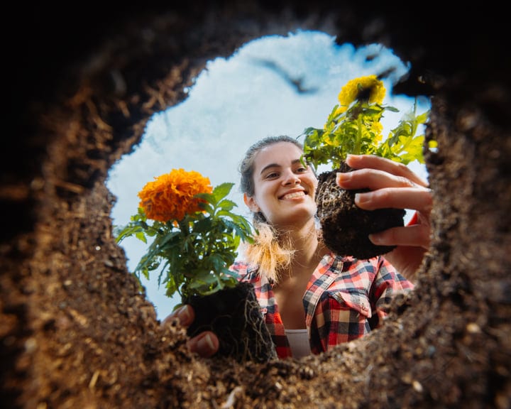 Joyful Gardener Embraces Spring with Bright Blossoms