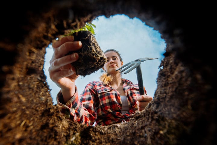 Through The Earth, A Gardener's Determined Hands Work