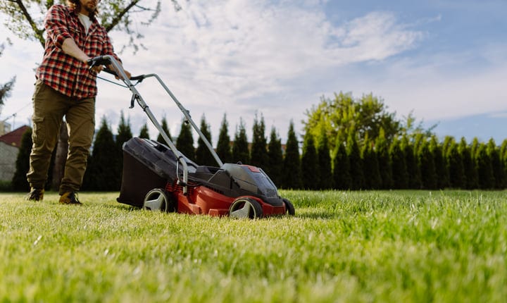 Gardener Mowing Lush Lawn Under Clear Blue Sky