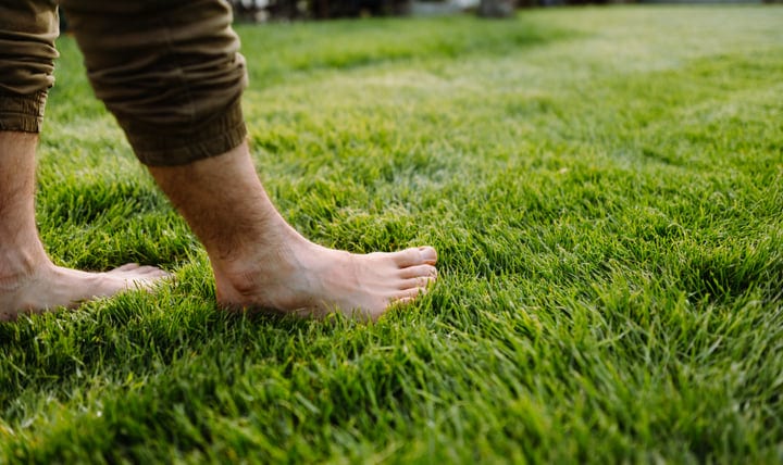 Barefoot Steps Bring Life to a Lush Garden