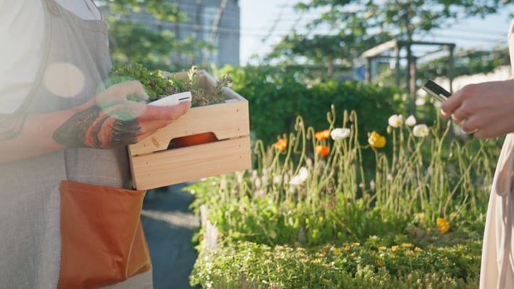 Gardener Balances Pruning Shears And Smartphone In Greenhouse