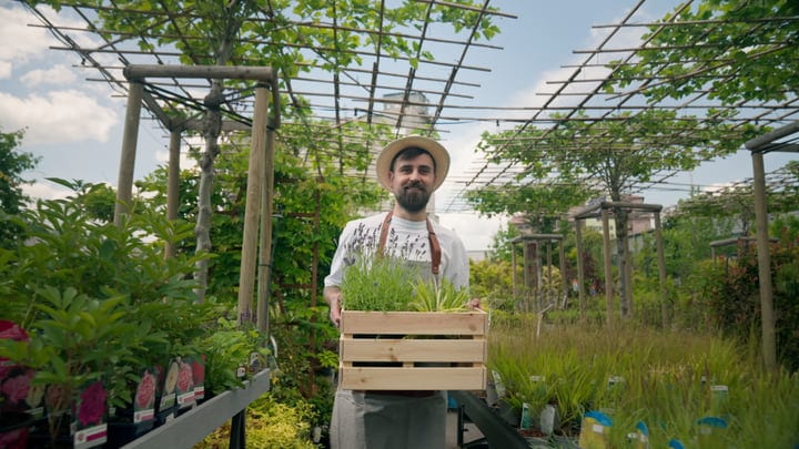 Gardener Embraces Greenhouse Bounty Under Clear Skies