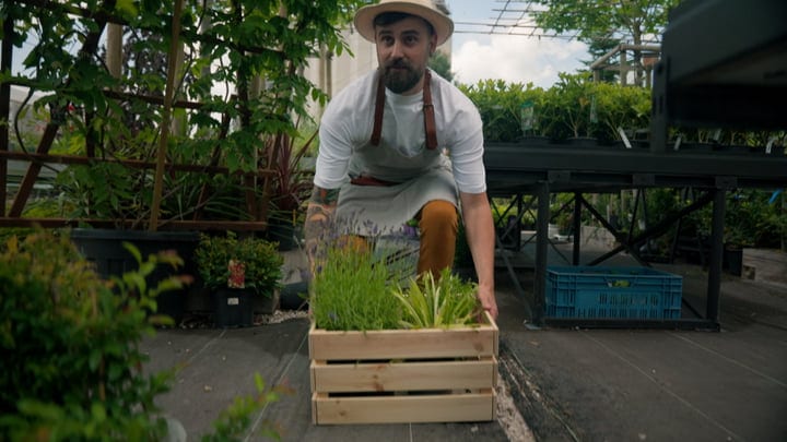Man Tending to Lush Greenery in Vibrant Greenhouse