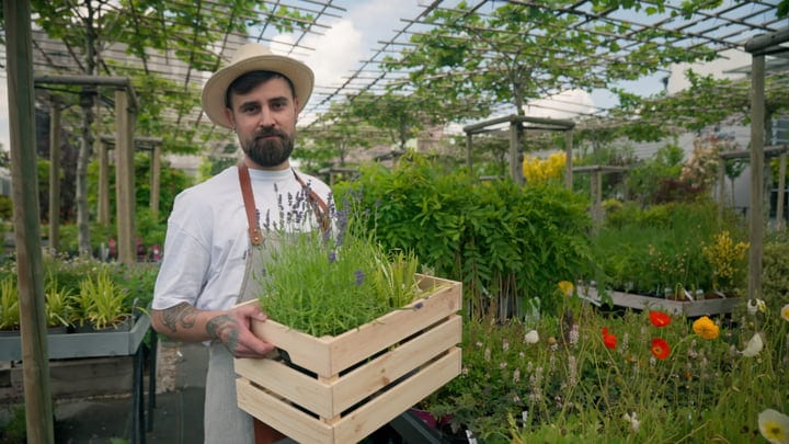 Gardener Embraces Growth In Lush Greenhouse Setting
