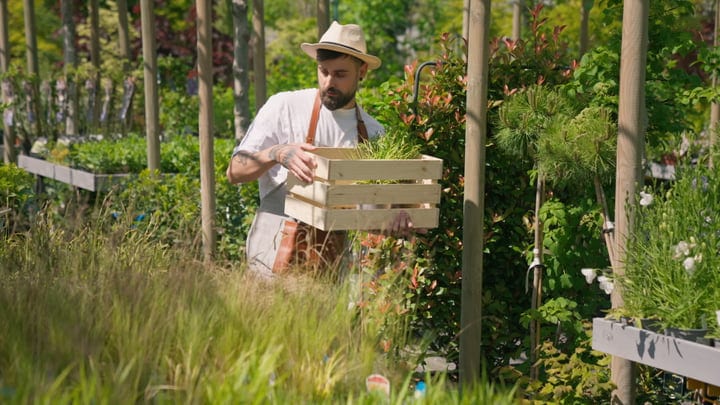 Dedicated Gardener Tending to Plants in Lush Greenhouse
