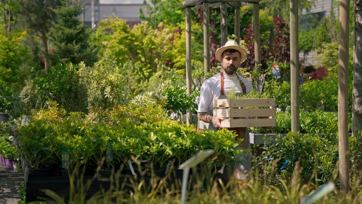Gardener Carries Fresh Plants Through Lush Greenhouse