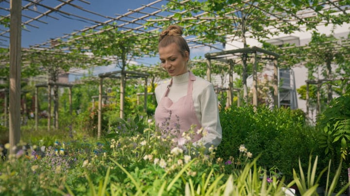 A Gardener Finds Tranquility Amidst Lush Greenery