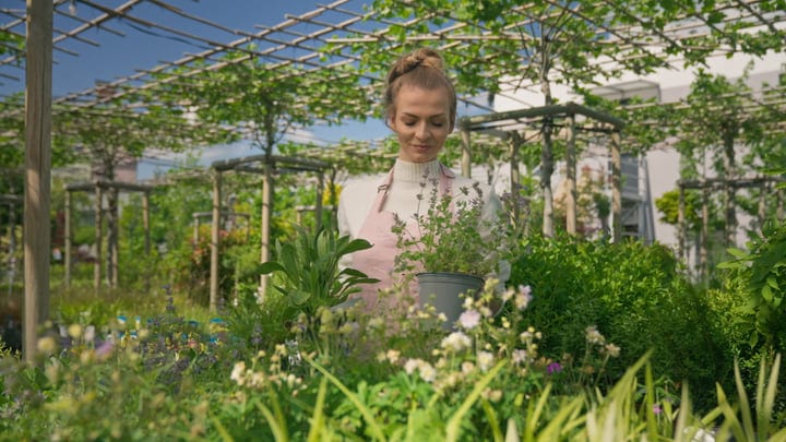 Young Gardener Nurtures Plants In Sunlit Greenhouse