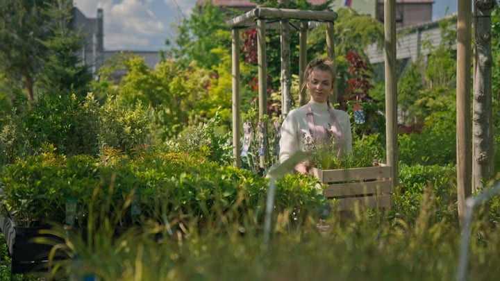 A Gardener's Joy: Pruning Under a Wooden Trellis