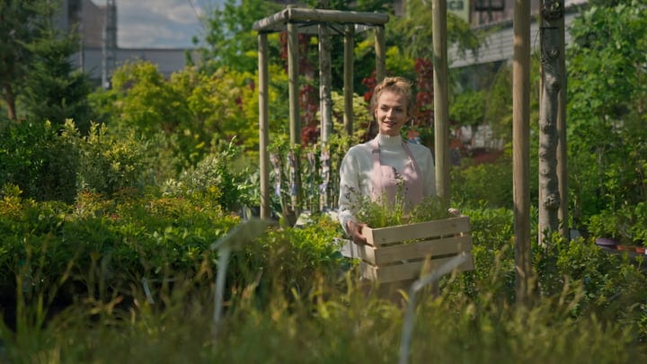 Gardener Embraces Nature's Rhythm In Lush Greenhouse