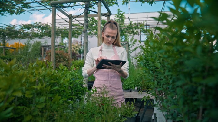 Focused Gardener Documenting Growth in a Lush Greenhouse