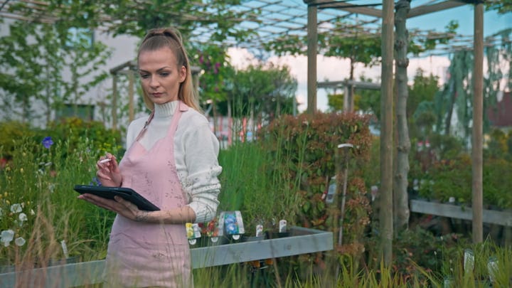 Gardener Checks Notes Amidst Lush Greenhouse Growth