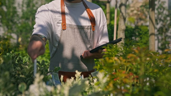 Modern Gardener Tending to Greenhouse Plants Thoughtfully
