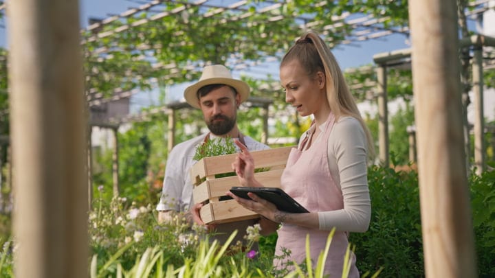 Young Gardeners Collaborate Under A Sunlit Greenhouse Canopy