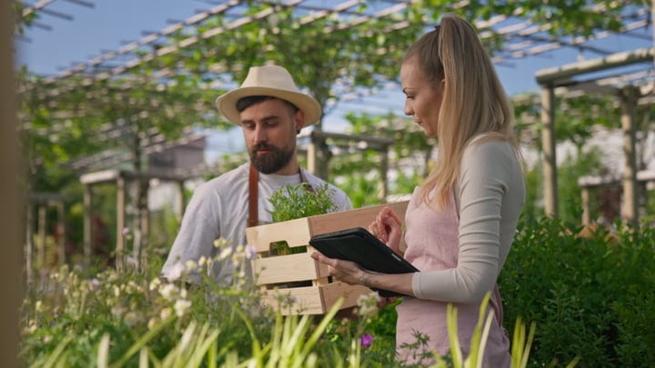 A Gardener Discusses Plant Care In Sunny Greenhouse