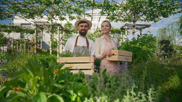 Sunlit Greenhouse Joy: Gardeners Embrace Seasonal Bounty