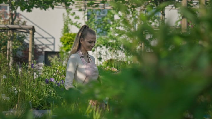 Focused Gardener Tends to Lush Greenhouse Oasis
