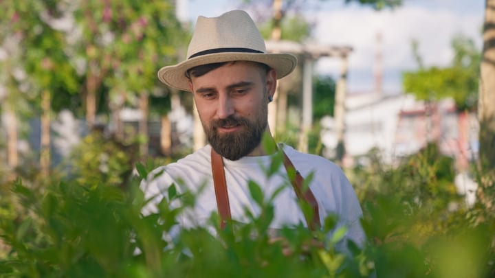 Focused Gardener Tending to Greenhouse Plants in Springtime