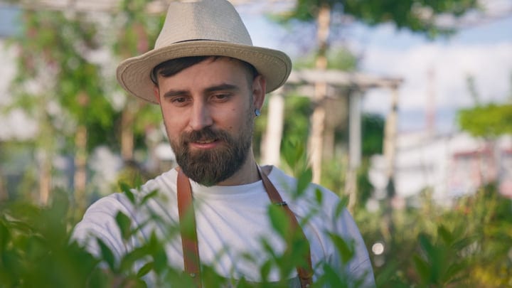 Focused Gardener Tending to Greenhouse Plants in Summer