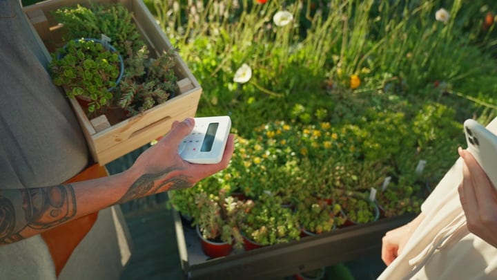Gardener's Hands Measure Greenhouse Growth Progress