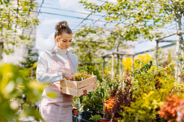A Gardener's Careful Touch Embraces the Greenhouse Blooms
