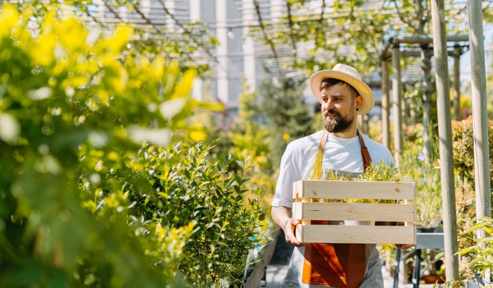 Sunlit Gardener Embraces Greenhouse Bounty In Summer