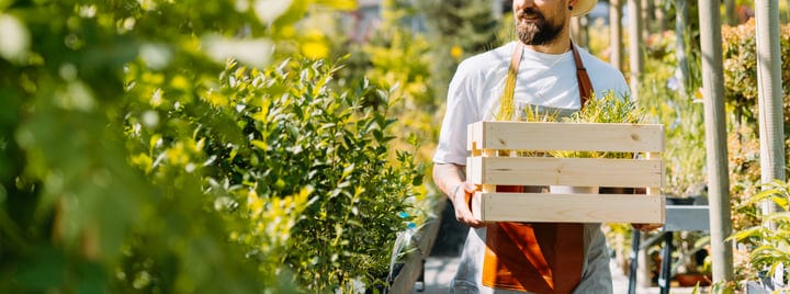 Gardener Carries Freshly Pruned Plants In Greenhouse