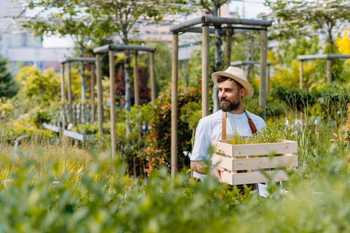 Gardener Embraces Nature's Bounty With A Wooden Crate