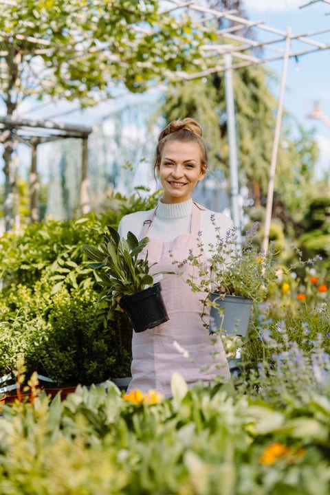 Joyful Gardener Tends To Lush Greenhouse Plants