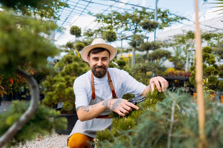 Joyful Gardener Tending to Evergreens in a Lush Greenhouse