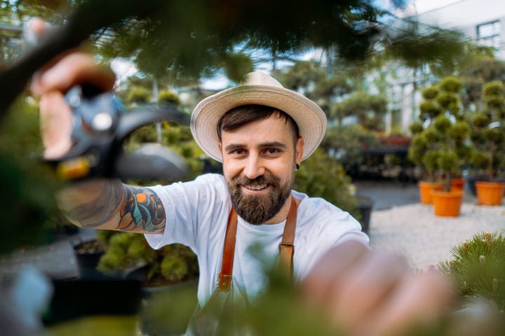 Gardener Joyfully Prunes Amidst Lush Greenery In Greenhouse