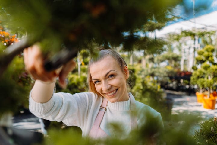 Joyful Gardener Pruning Plants In Lush Greenhouse