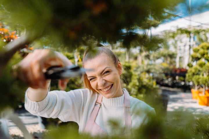 Joyful Gardener Pruning in Lush Greenhouse Setting
