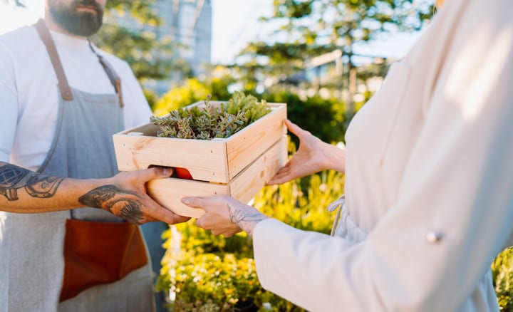 Greenhouse Exchange: Fresh Herbs In Wooden Crate