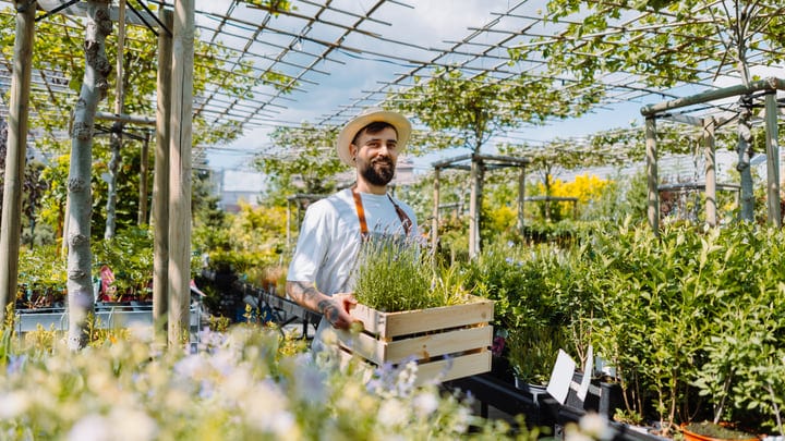 Gardener Smiles Holding Herbs in Sunny Greenhouse