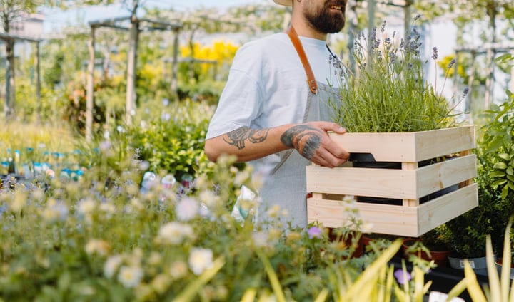 Tattooed Gardener Carries Crate In Lush Greenhouse