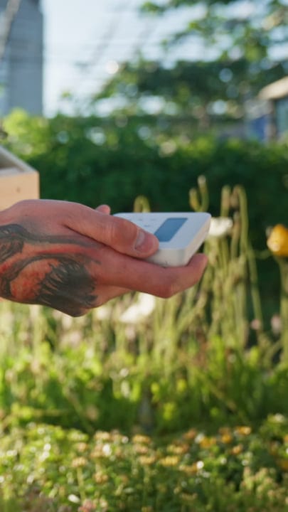 Tattooed Gardener Checking Temperature In A Sunny Greenhouse