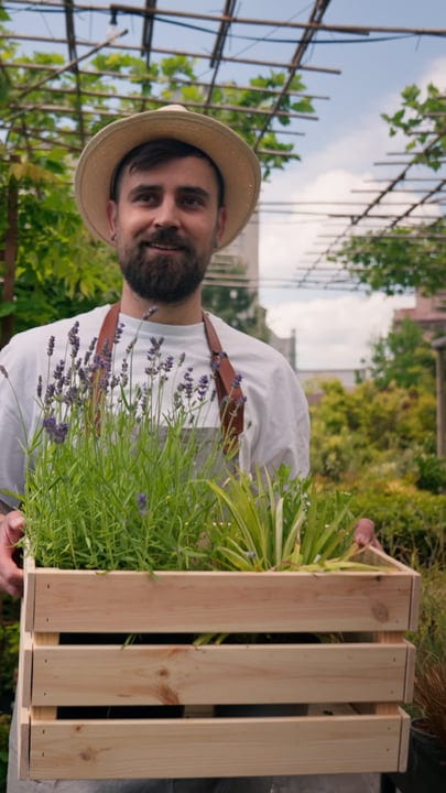 Gardener Smiling With Fresh Herbs In Wooden Crate