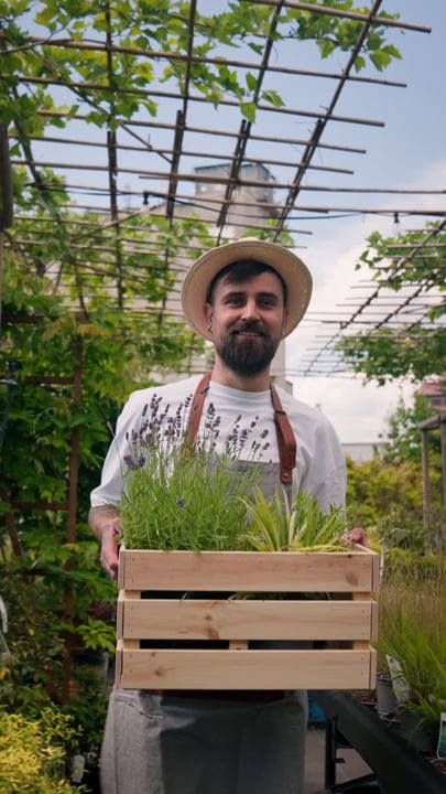 A Gardener Smiles Amid Lush Greenhouse Beauty