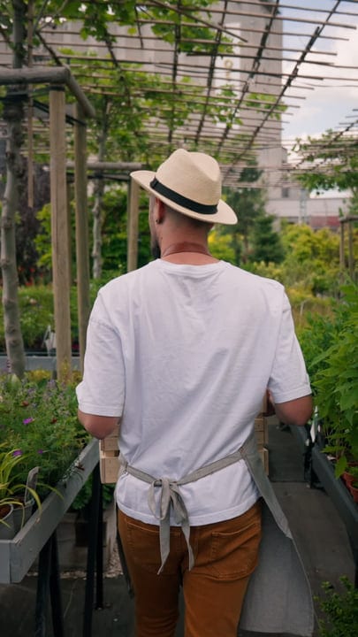 Gardener Tends to Vibrant Greenhouse Oasis with Care