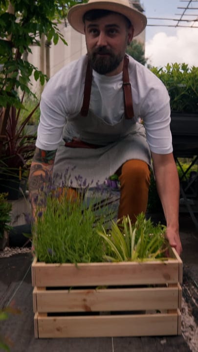 Gardener Tending to Vibrant Greenhouse Plants in Summer
