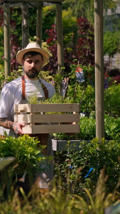 Gardener Embraces Tranquility While Pruning In The Greenhouse