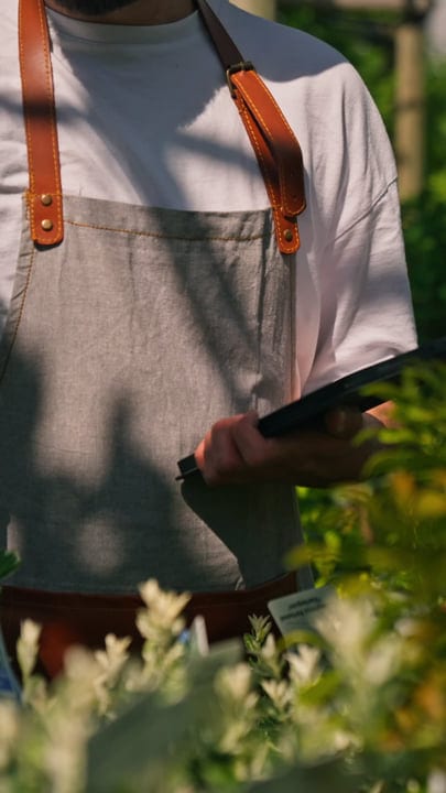 Focused Gardener Tending Plants in Sunlit Greenhouse