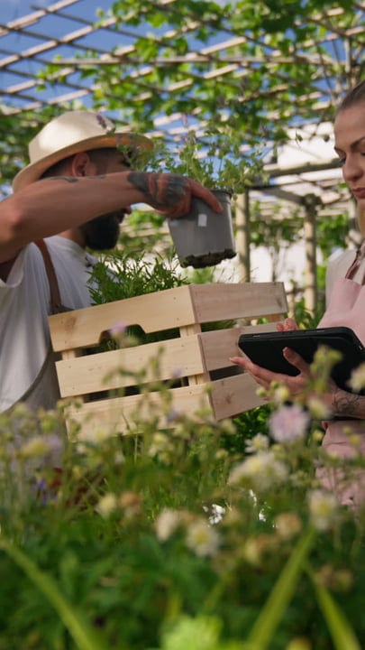 Diligent Gardener Tends Greenhouse with Care and Precision
