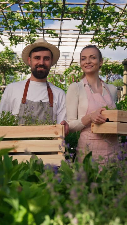 Smiling Gardeners Harvesting Fresh Herbs In Greenhouse