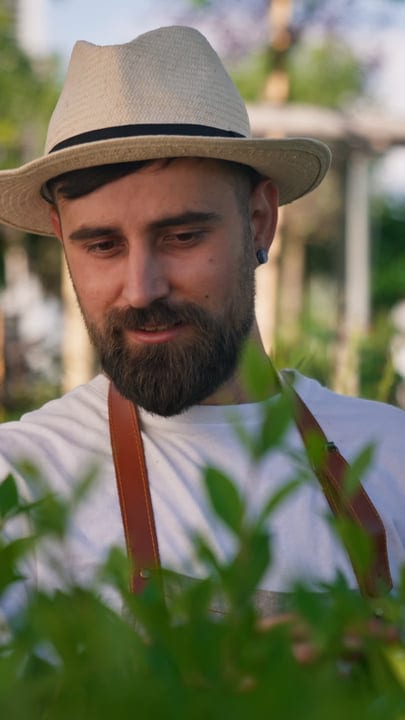 Gardener Finds Solace Pruning in Sunlit Greenhouse
