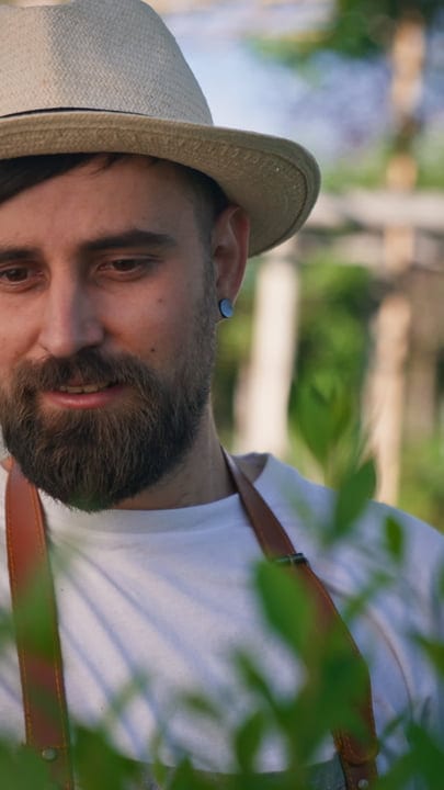 A Gardener's Focus Amidst Lush Greenhouse Vines