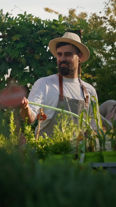 Gentle Hands Tend To A Vibrant Greenhouse Oasis