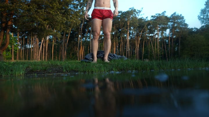 Morning Resolve By The Forest's Edge In Cold Waters