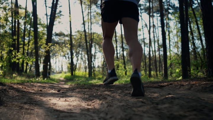 A Runner's Solitude In The Forest Morning Light